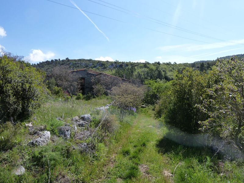 siou_blanc_mai_2012_058.jpg