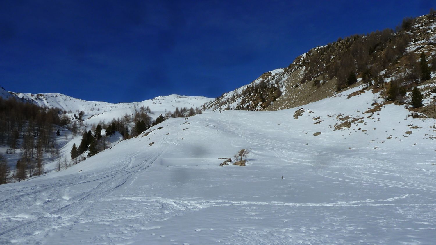 simance_fev_2019_11.JPG