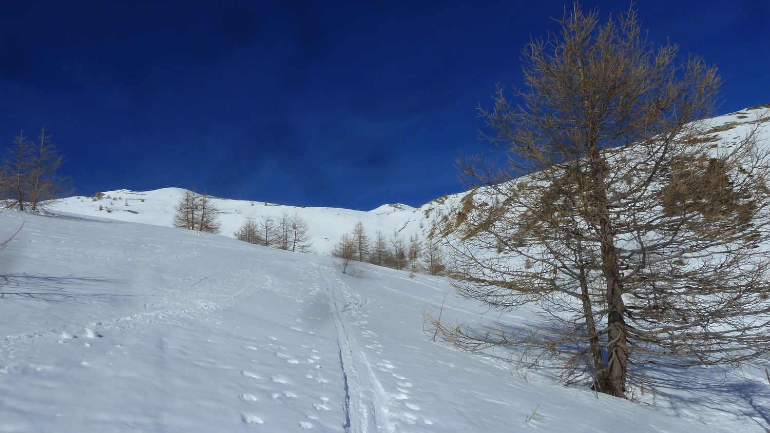 simance_fev_2019_17.JPG