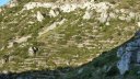 baou_sept_2017_15.JPG