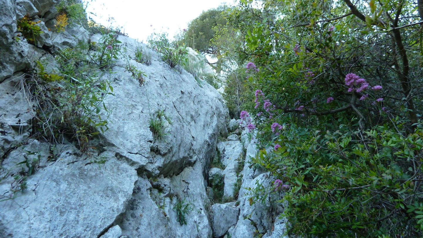sommet_faron_avril_2017_029.JPG