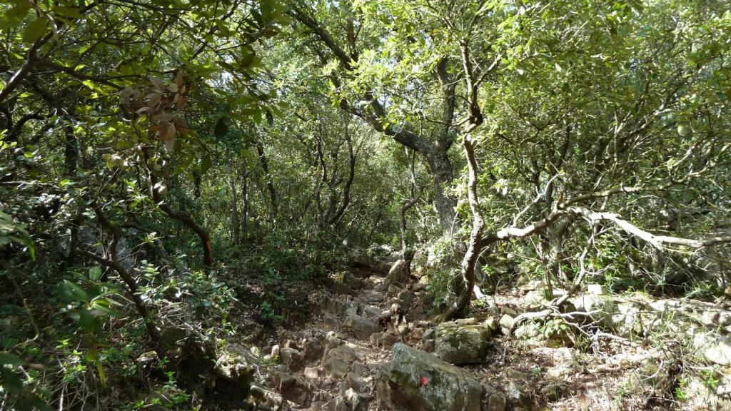 sommet_coudon_mai_2016_043.JPG