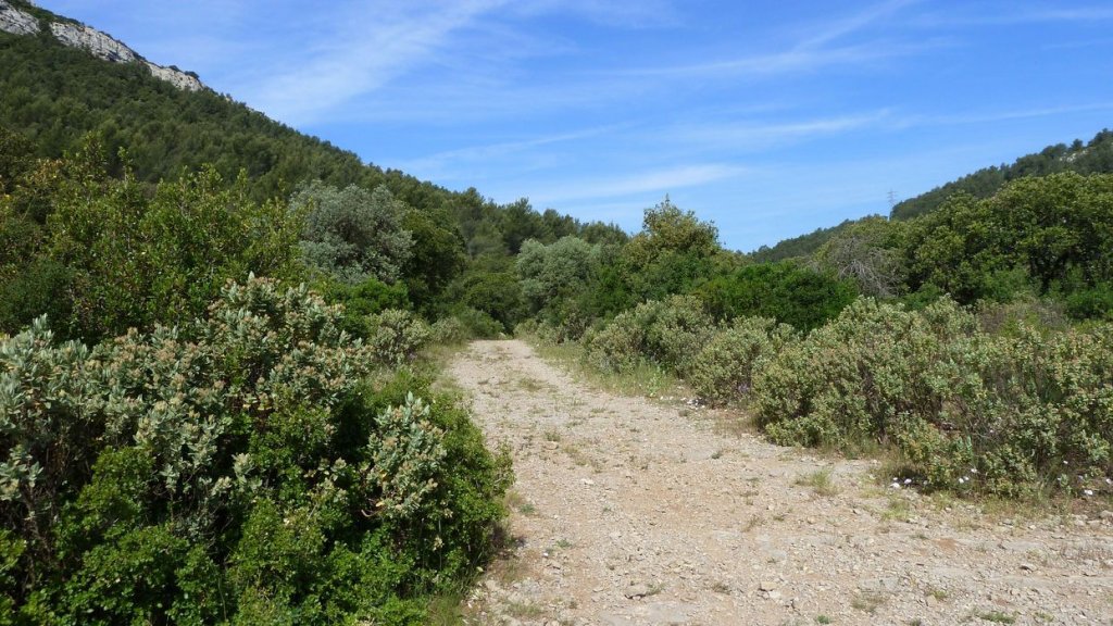sommet_coudon_mai_2016_061.JPG