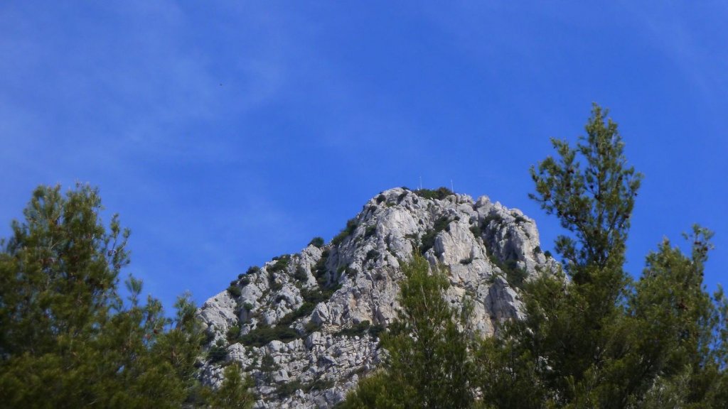 sommet_coudon_mai_2016_067.JPG