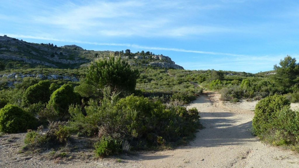 sommet_garlaban_2014_36.jpg
