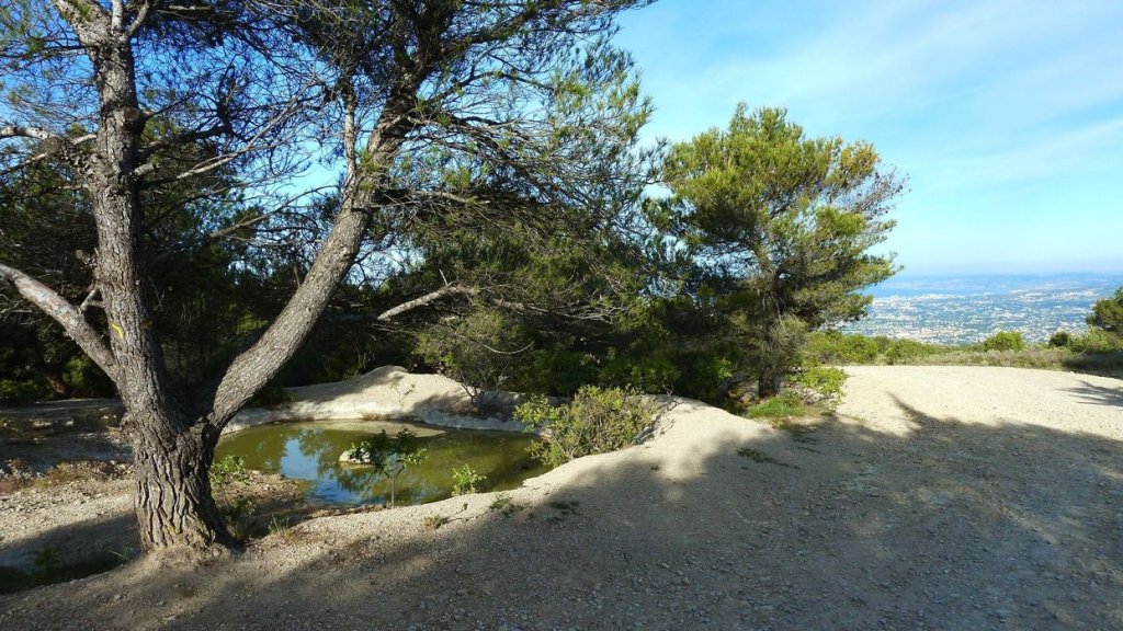 sommet_garlaban_2014_38.jpg