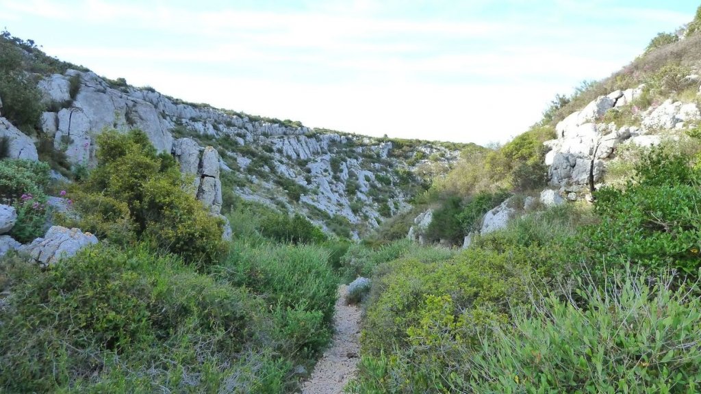 sommet_garlaban_2014_70.jpg