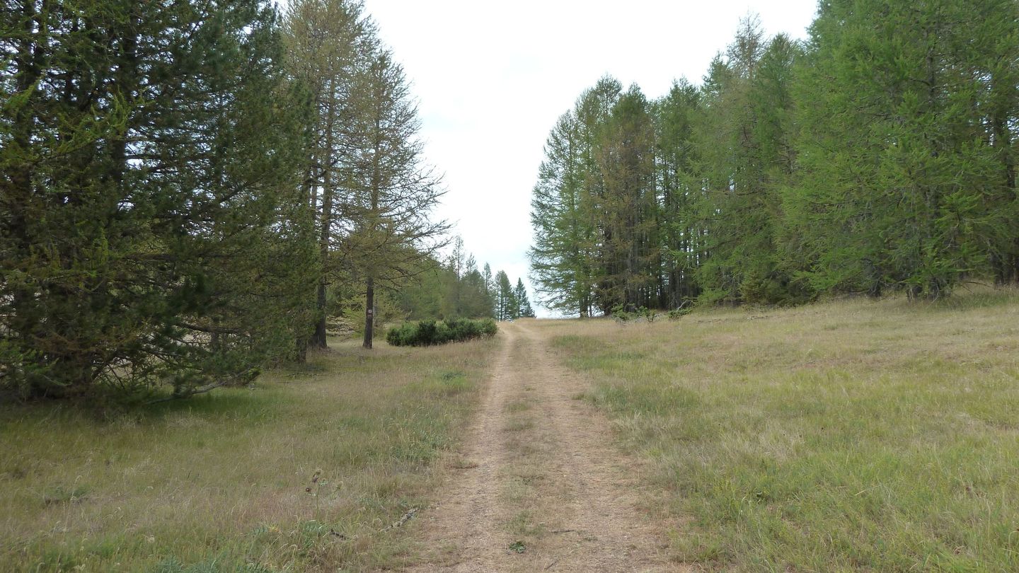 mont_2017_052.JPG