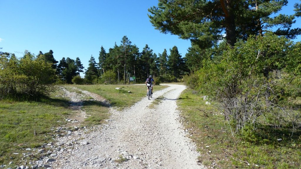 sommet_ticordoeil_aout_2014_044.jpg