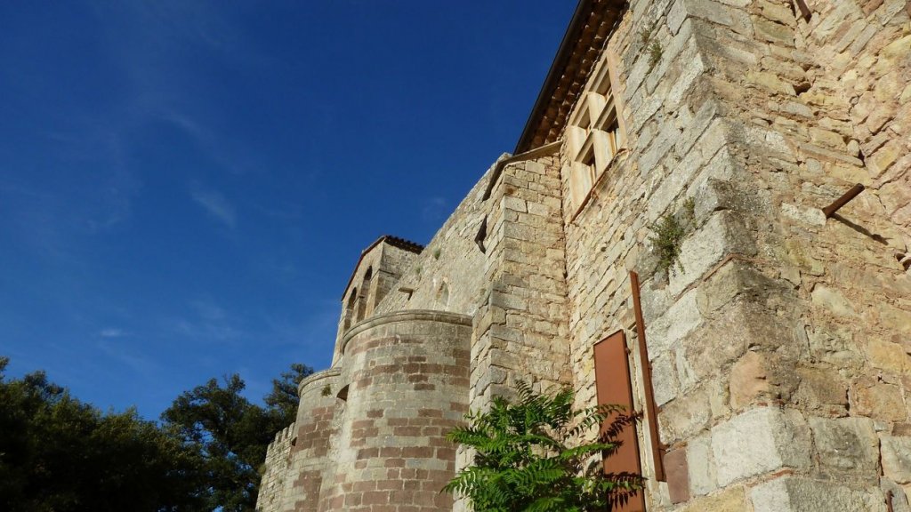 P1090519.JPG