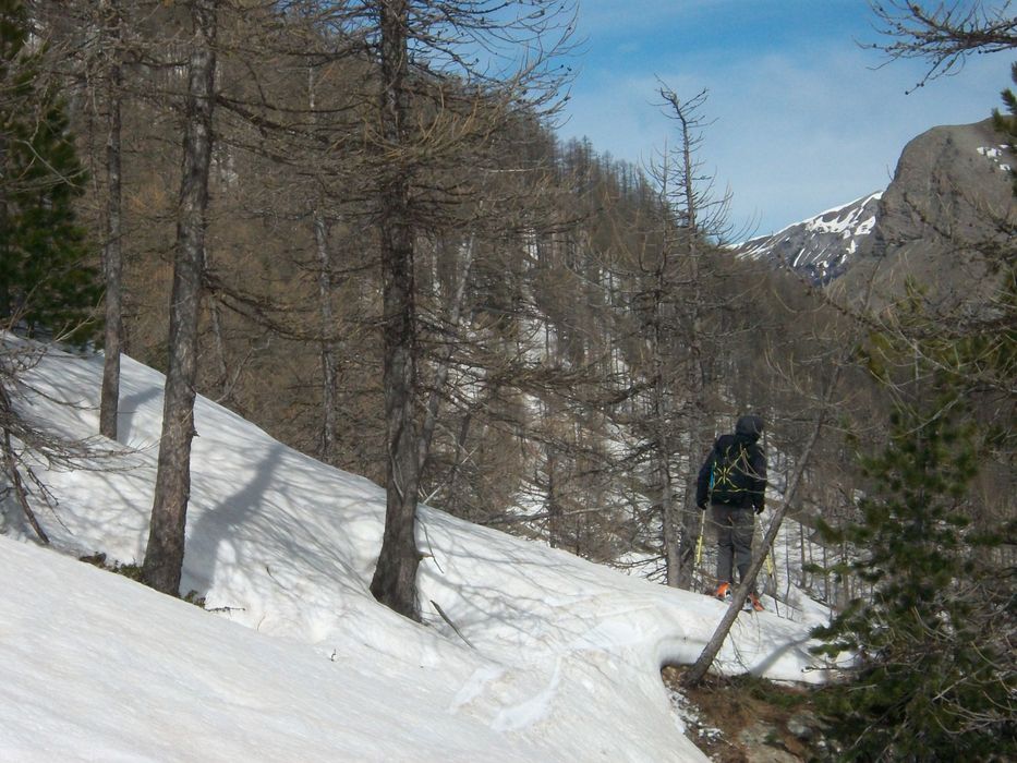 tete_de_valplane_2014_130.jpg