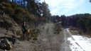 P1160950.JPG