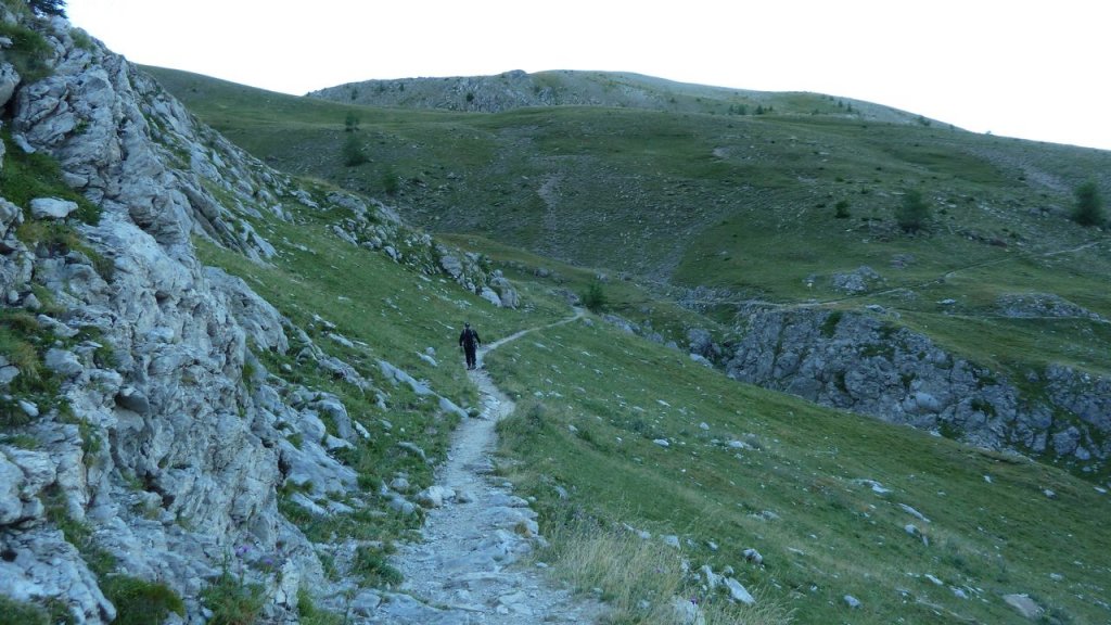 P1160159.JPG