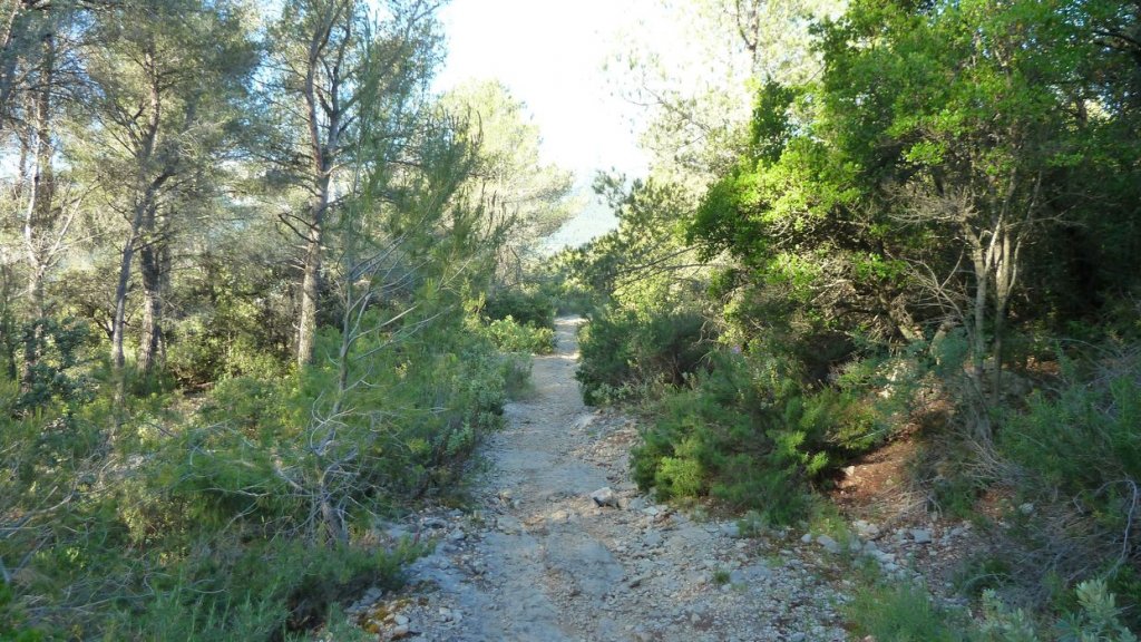 touravelle_mai_2016_023.JPG