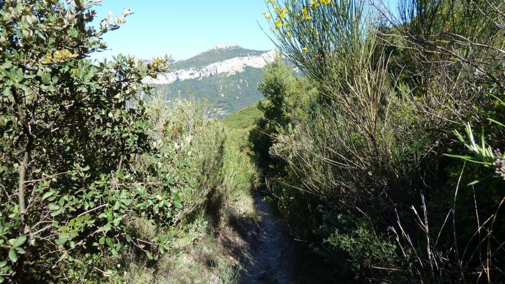 touravelle_mai_2016_045.JPG