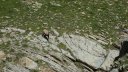 trou_de_laigle_juin_2017_23.JPG