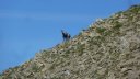 trou_de_laigle_juin_2017_26.JPG