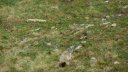 trou_de_laigle_juin_2017_31.JPG