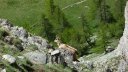 trou_de_laigle_juin_2017_54.JPG