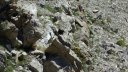 trou_de_laigle_juin_2017_58.JPG