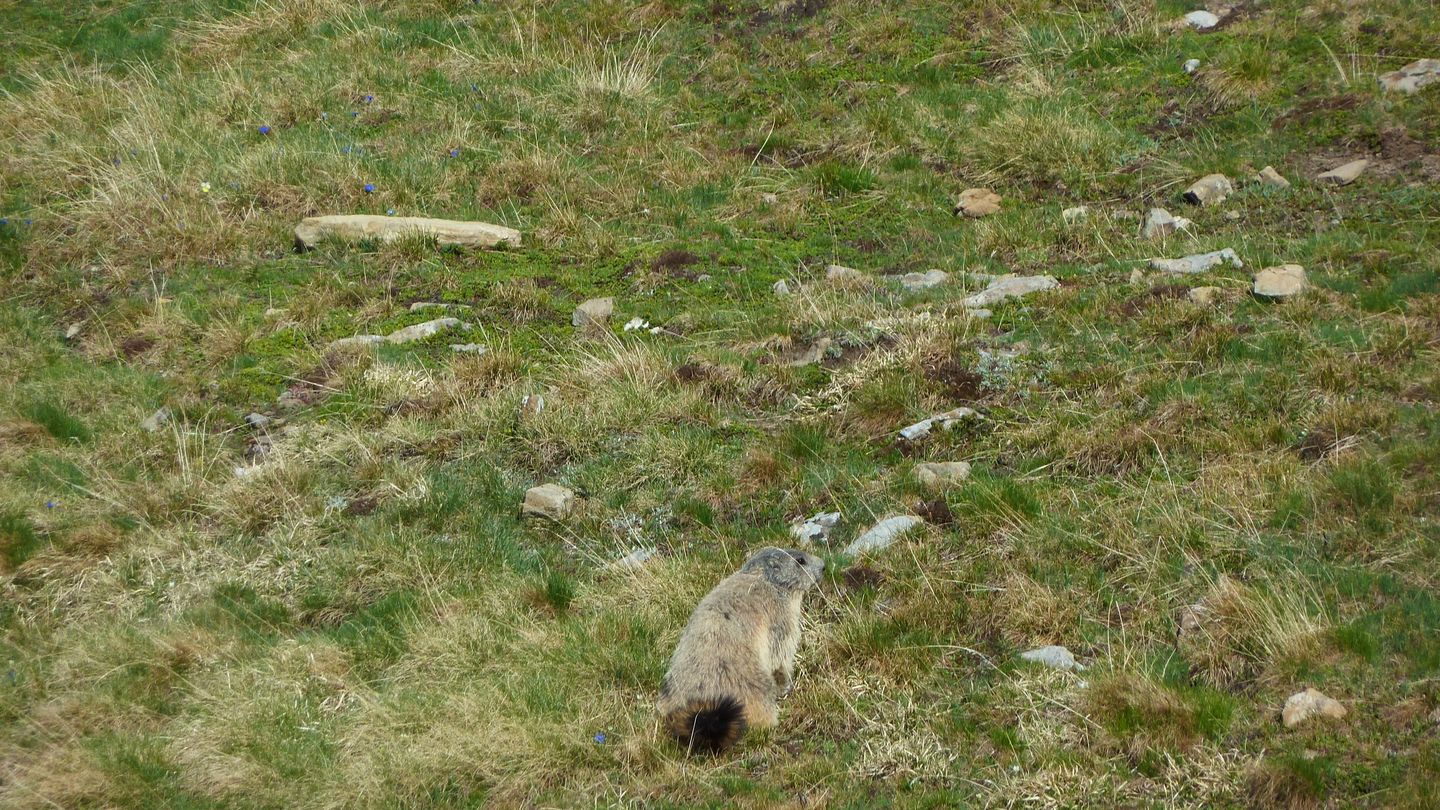 trou_de_laigle_juin_2017_31.JPG