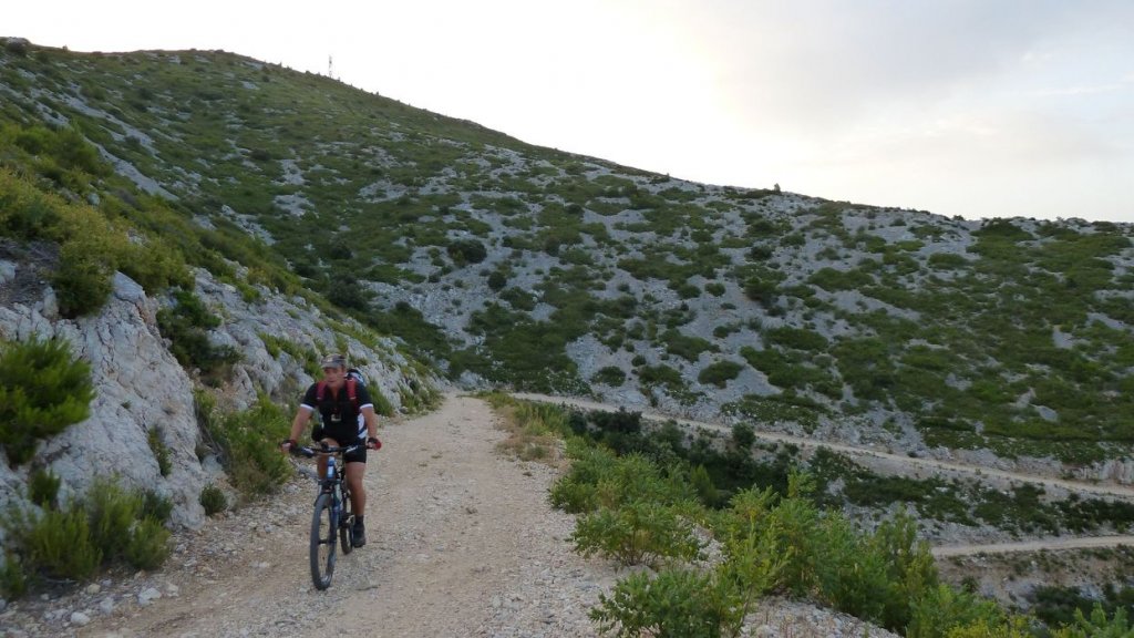tuny_juillet_2015_031.JPG