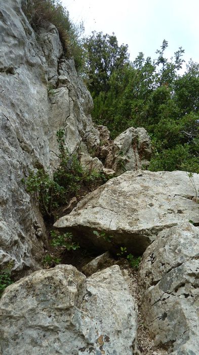 tuny_juillet_2015_123.JPG