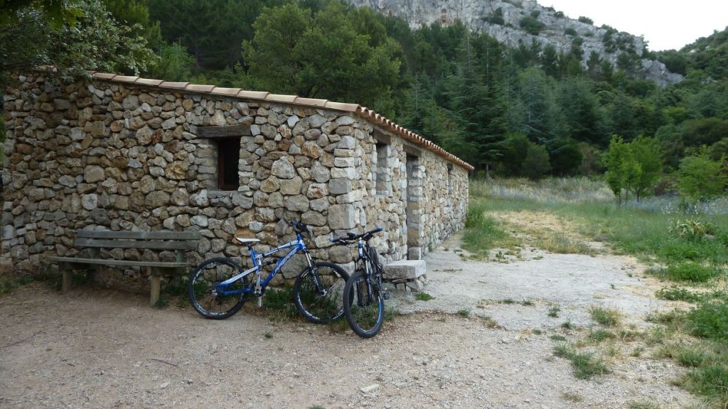 tuny_juillet_2015_147.JPG