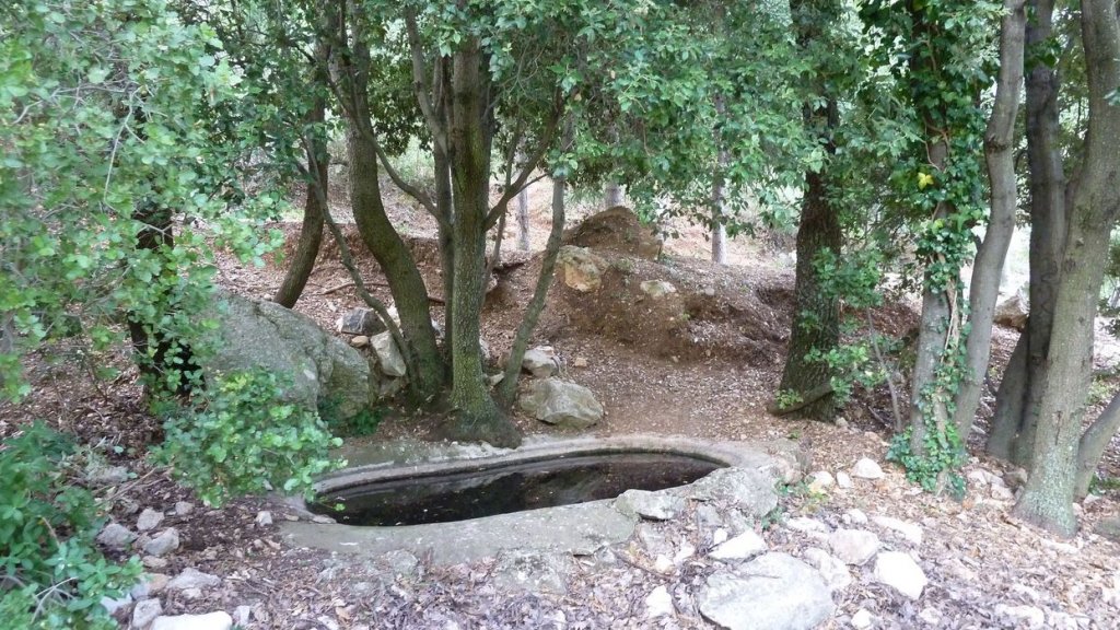 tuny_juillet_2015_151.JPG