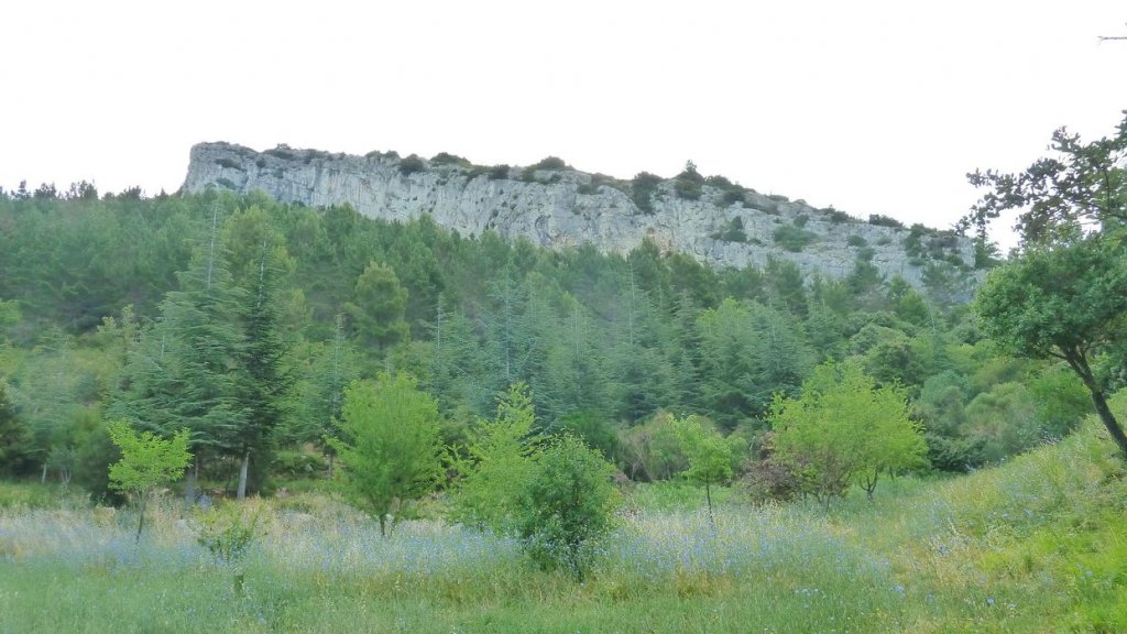tuny_juillet_2015_163.JPG
