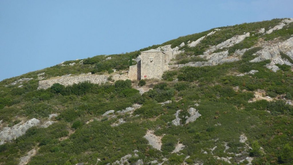 tuny_juillet_2015_213.JPG