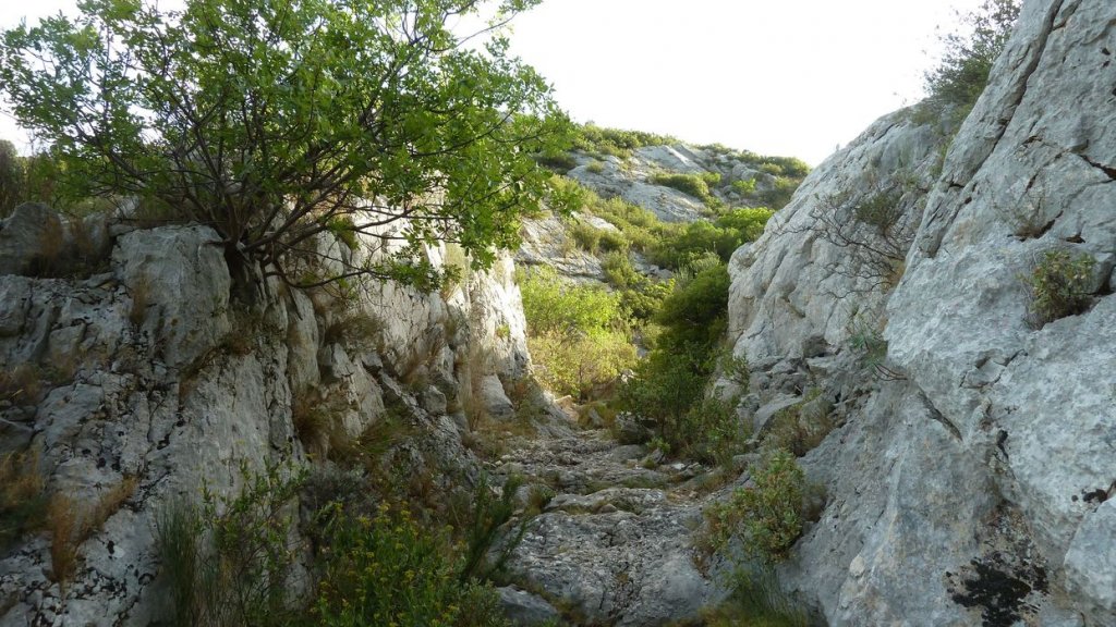 tuny_juillet_2015_219.JPG