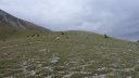 ubaye_2012_j2_033.jpg