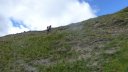 ubaye_2012_j2_069.jpg