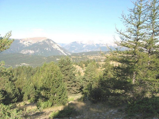 Peyresc_couradour_281129.JPG