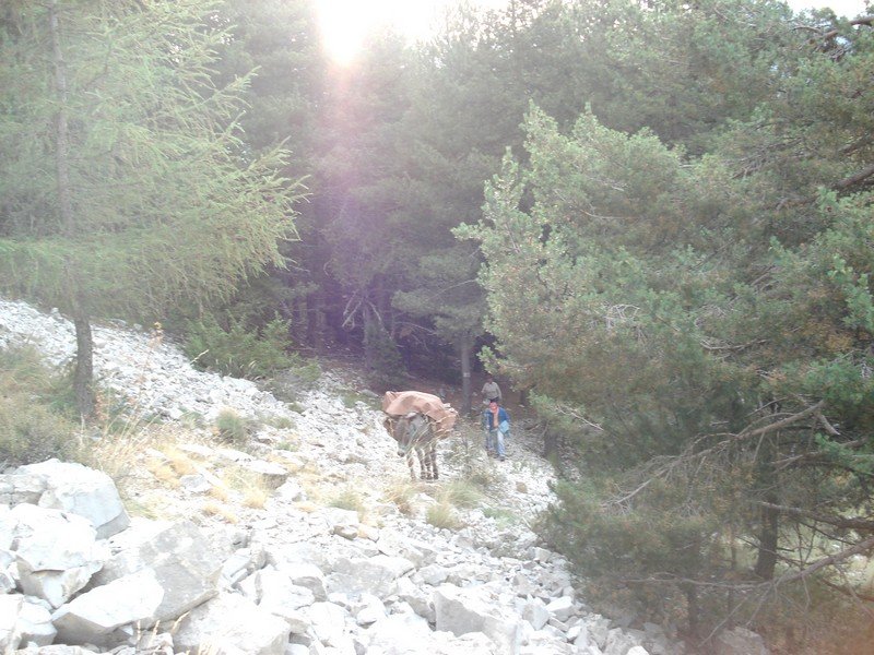 Sallanches_281129.JPG