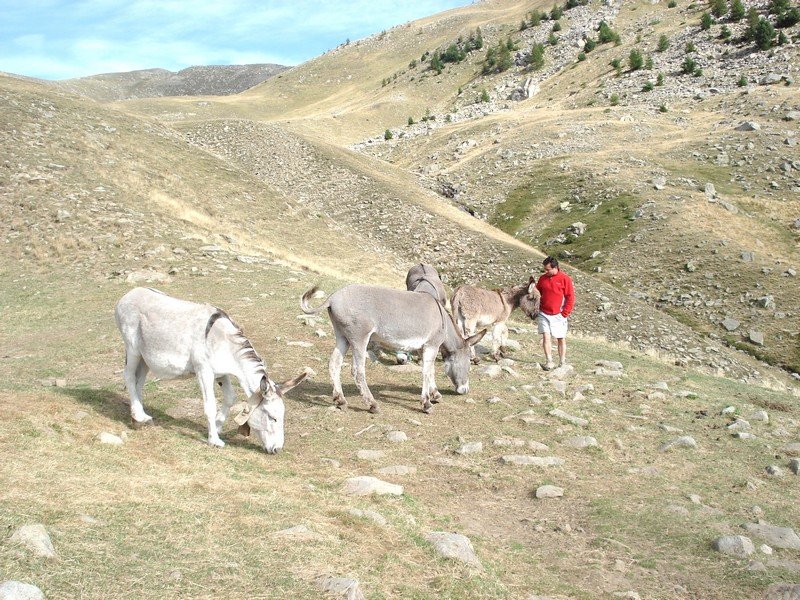 Sallanches_282629.JPG