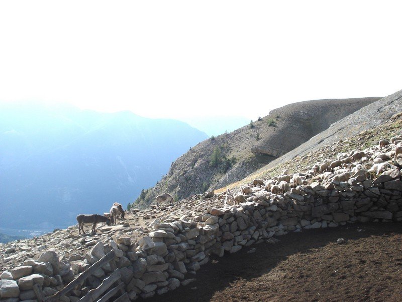 Sallanches_284229.JPG