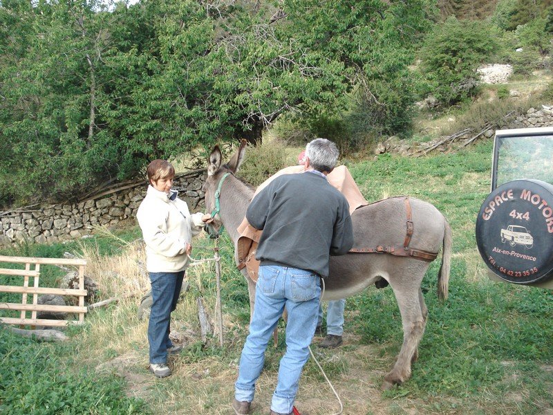 Sallanches_28429.JPG