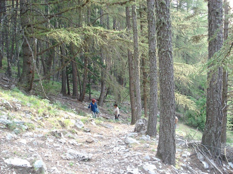 Sallanches_28829.JPG