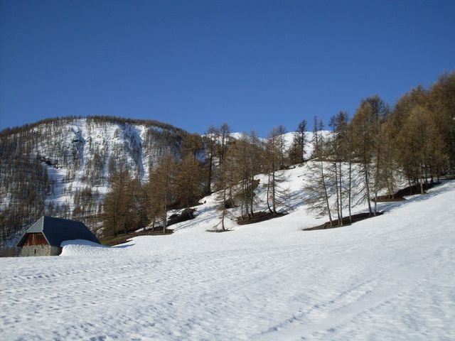 autapie0409_05.jpg