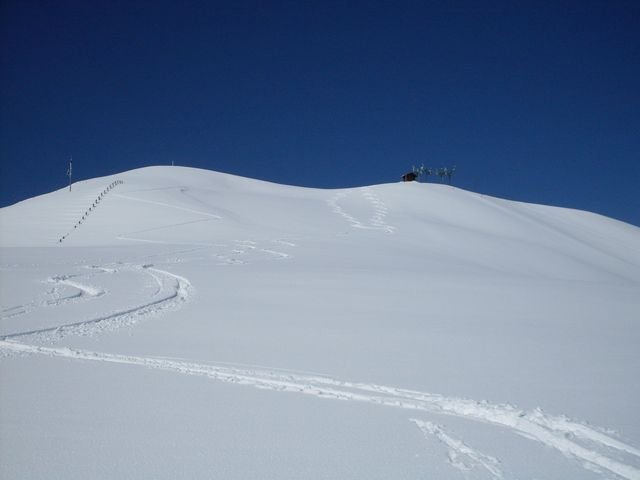 autapie0409_18.jpg