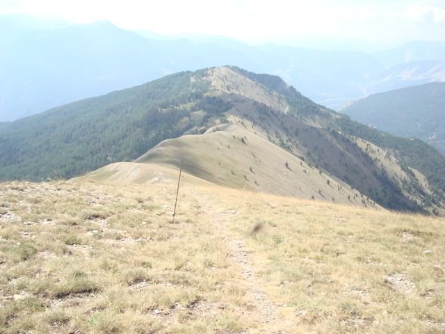 autapie_321_04.jpg