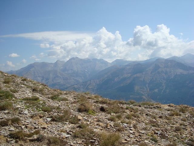 autapie_321_06.jpg