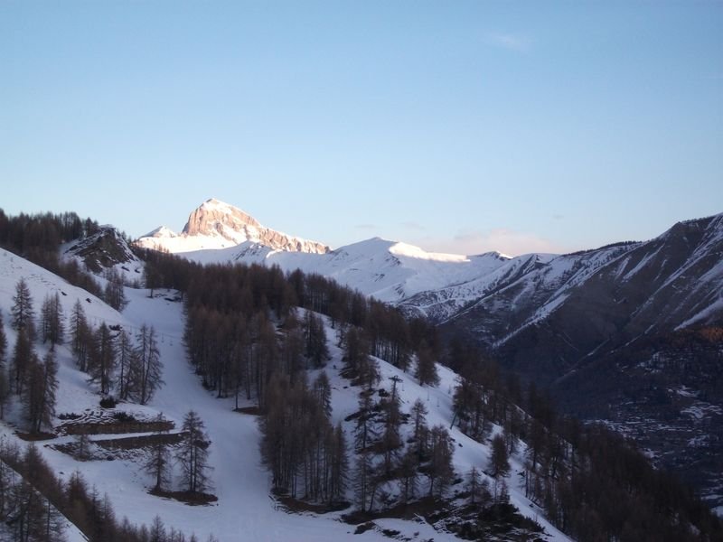 autapie_fev_2011_12.jpg