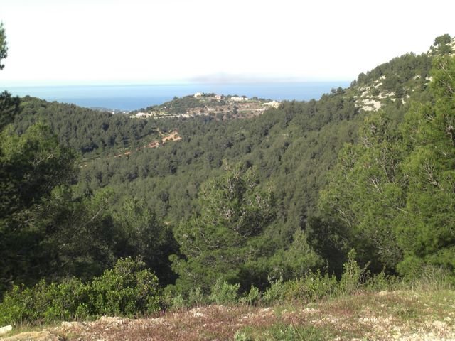baou_des_4_aures_06.jpg