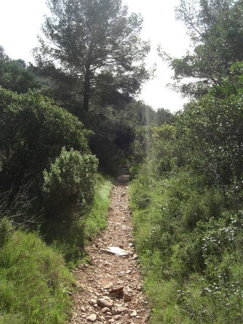 baou_des_4_aures_22.jpg