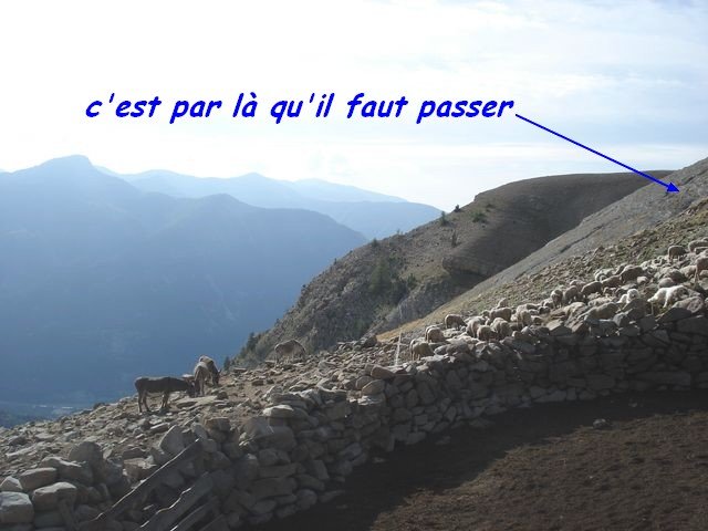 cabane_a_p_en_vtt_08.jpg