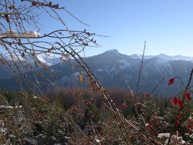 cabane_a_p_hiver_02.jpg