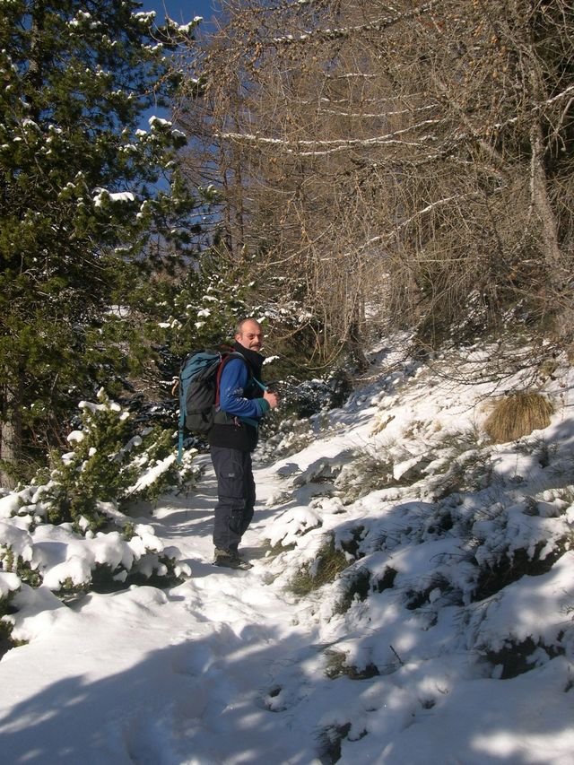 cabane_a_p_hiver_06.jpg